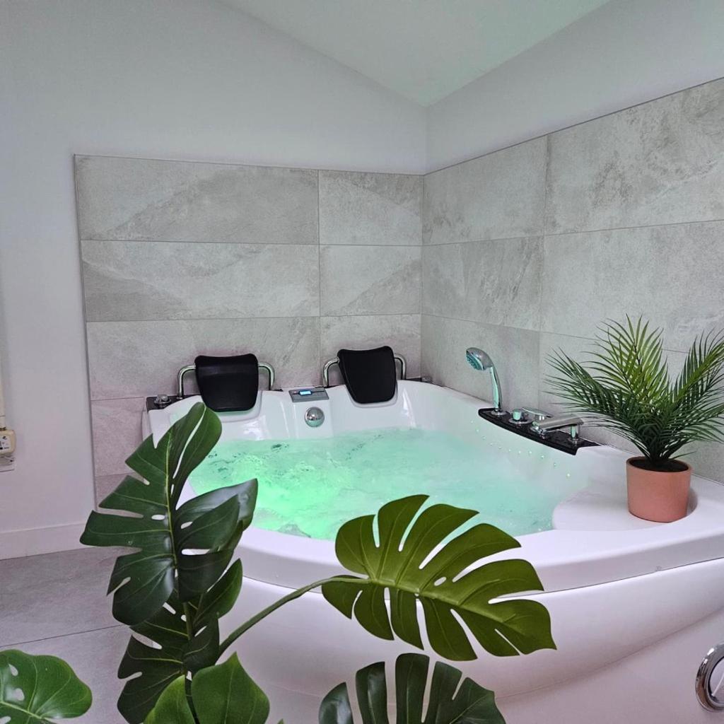 Bed and Breakfast Confidences Escale A Brissac Exterior foto